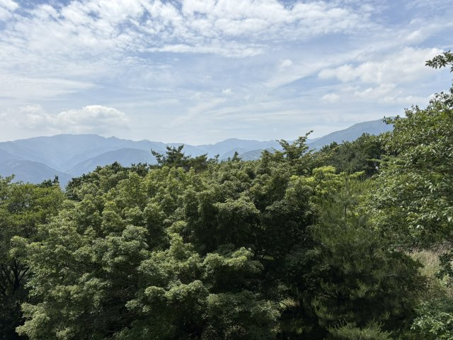 河津町　天子平別荘地の展望