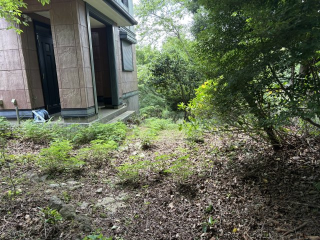 河津町　天子平別荘地の庭