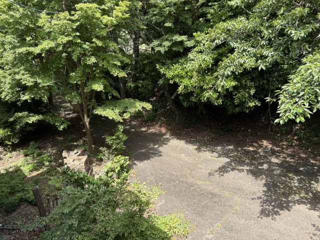 河津町　天子平別荘地の展望