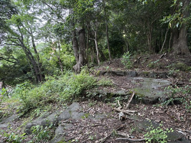 下田市　5丁目の外観