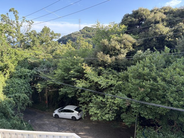 下田市　白浜の展望