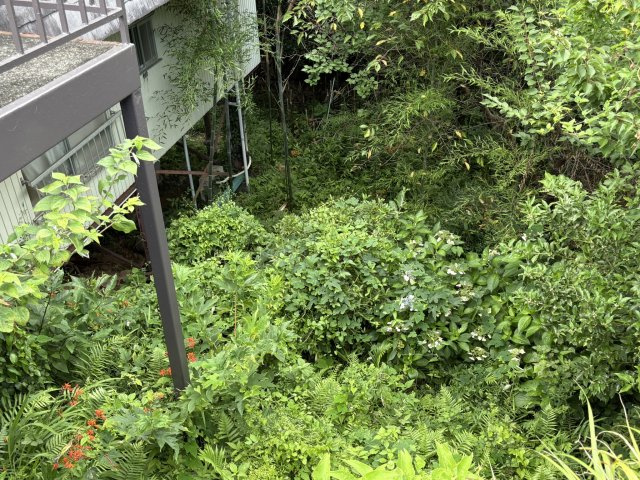 果樹園別荘地のその他