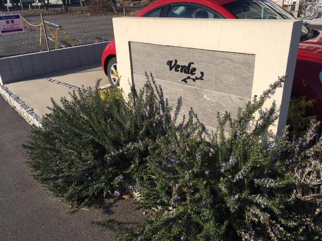 Ｖｅｒｄｅのその他