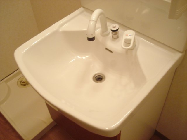 パークヒルズⅠの洗面所|シャンプードレッサー