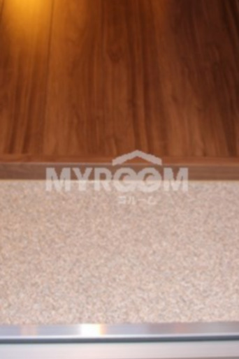 シャイニーソフト新宿落合Ａの玄関|(同一仕様写真)