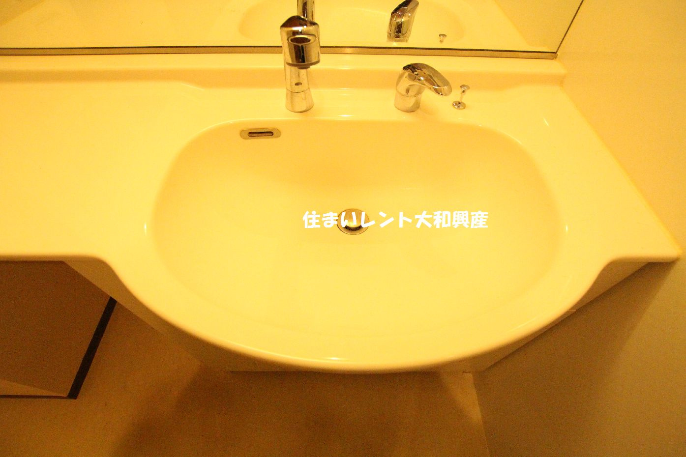 ヴィーブル草薙の独立洗面台