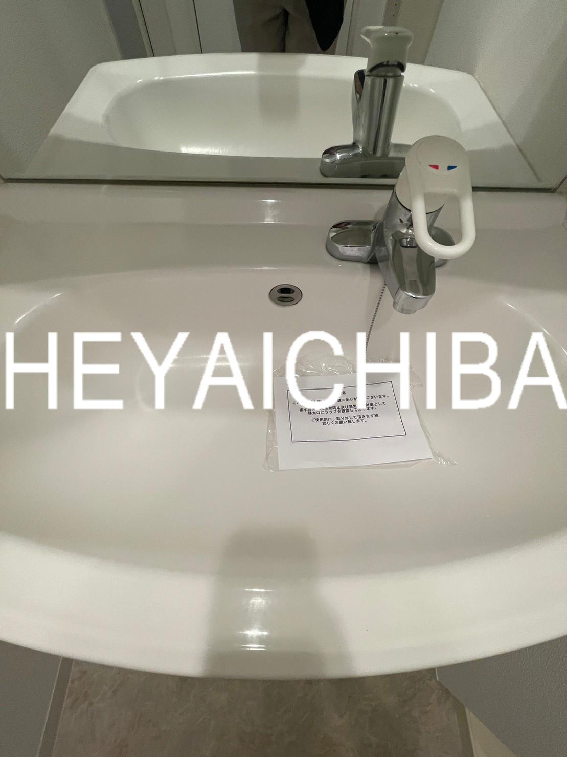 ボンナチュール入谷の洗面所