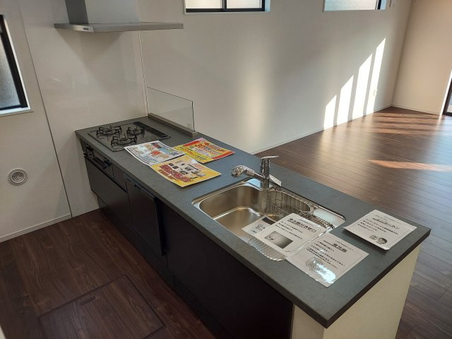 宝塚市南ひばりガ丘1丁目新築一戸建のキッチン|食洗機付きシステムキッチン