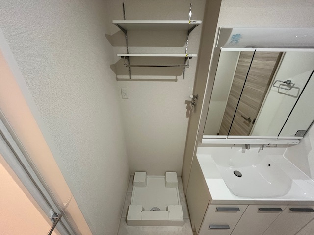 D-residence西野の洗面所