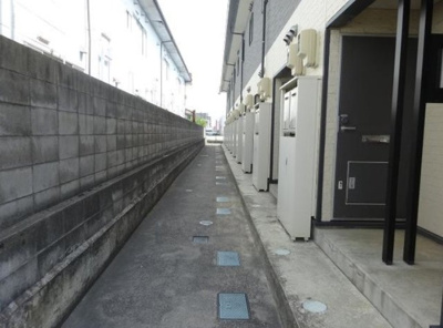 【その他】 | レオパレストレニア