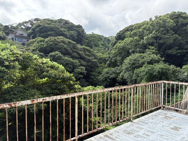下田市　吉佐美苑の展望