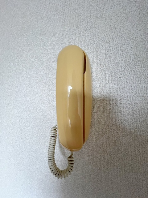 リーベンハイムBのセキュリティ|インターホン設置済み