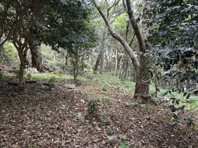 下田市　須崎の外観|敷地内