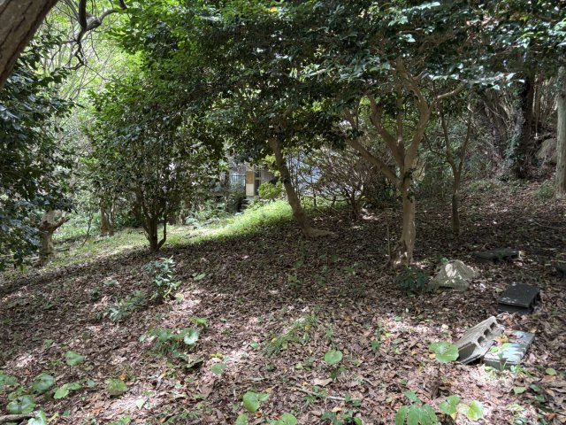 下田市　須崎の外観|敷地内