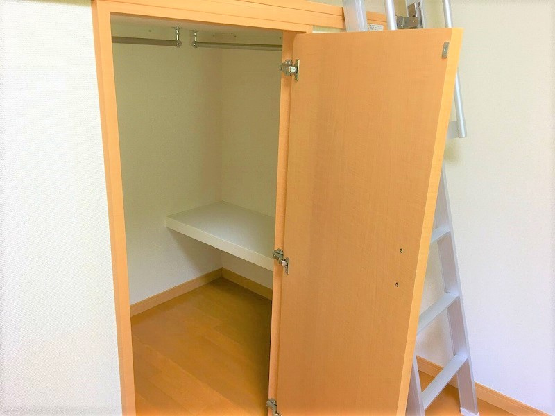 レオネクストピアの収納