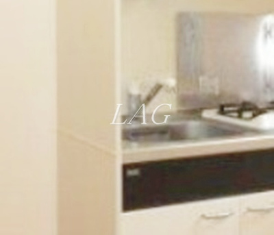 【その他】 | エバーハイツ大山 | シンクです。