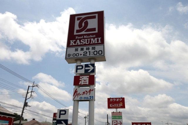 アヴィランスの周辺|カスミ高津店 徒歩3分 255m