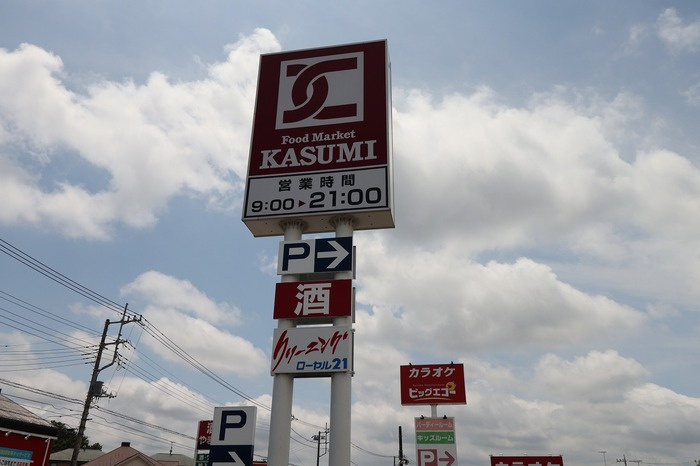 アヴィランスの周辺|カスミ高津店 徒歩２分