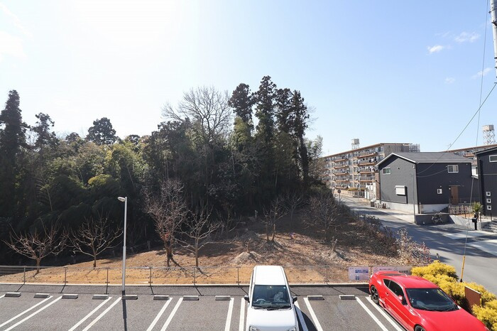 チェスナットの展望|眺望