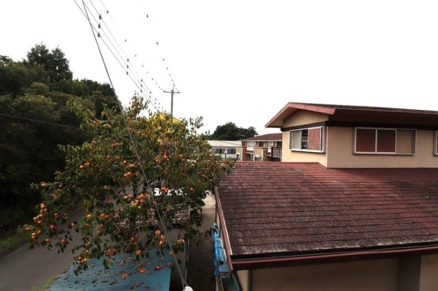 プランドールの展望|眺望