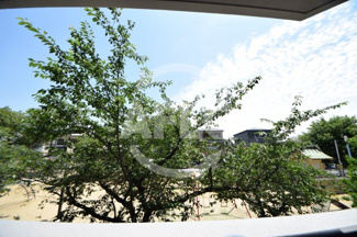 【展望】 | スプランディッド天王寺パークサイド | スプランディッド天王寺パークサイド　眺望