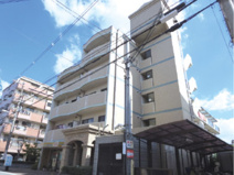 グレイスアベリアの画像