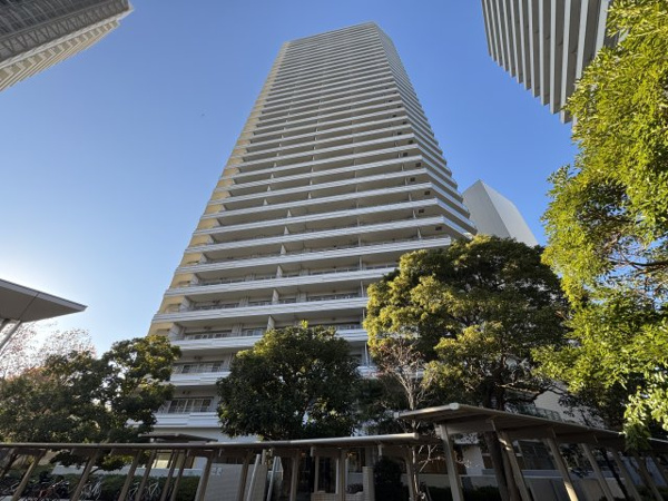 コットンハーバータワーズベイウエストの画像