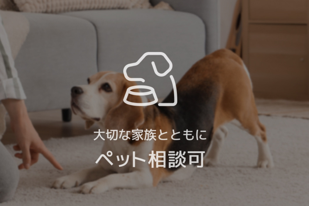 シャーメゾンフゥの設備