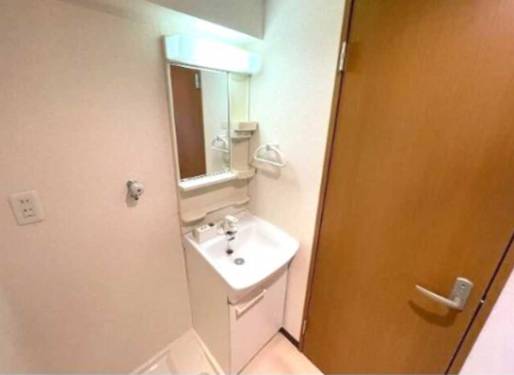 メゾンヌーヴェル　ペット相談　メゾネット　ルーフバルコニーの洗面所