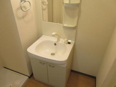 ハンズレジデンス二条の洗面所