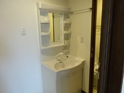 さいたま市南区神明１丁目のアパートの独立洗面台