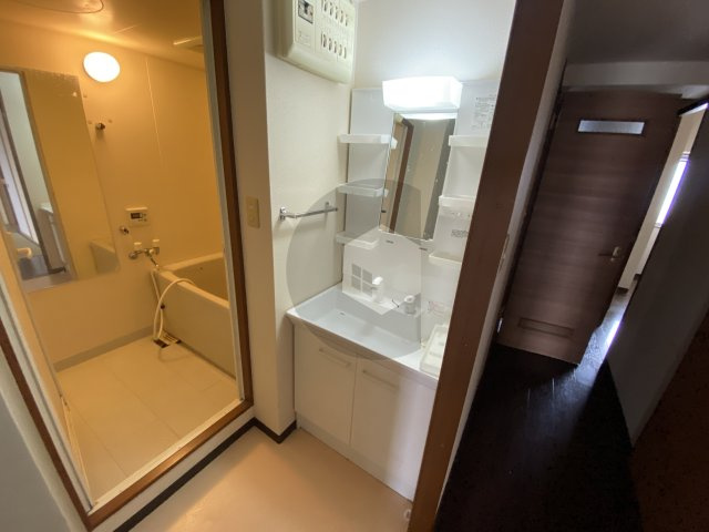 ブランチ913の洗面所