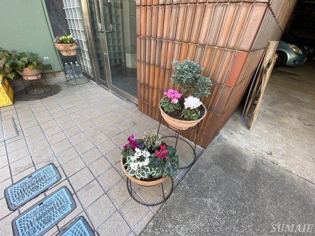 ノーブルイズミのその他|植栽です☆