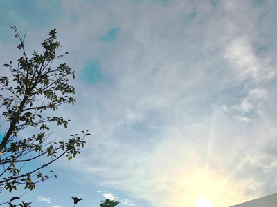 【展望】 | オハナ　柏たなかパークフロント