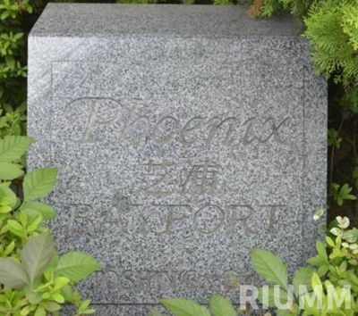 【その他】 | トーシンフェニックス芝浦ベイフォート