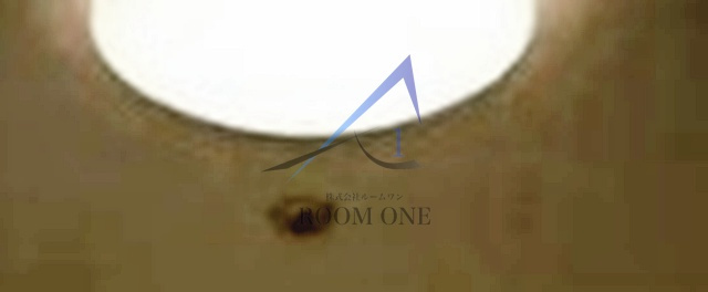 スカイコートパレス西巣鴨