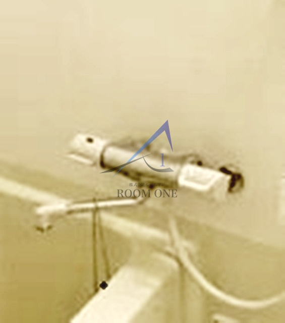 スカイコートパレス西巣鴨