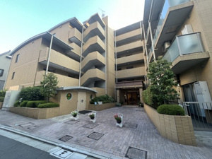 ソフィアーレ代官山の画像