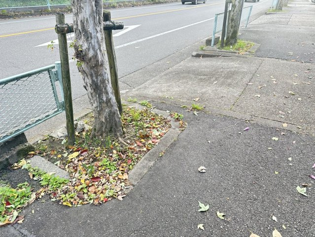 【前面道路含む現地写真】 | 春日井市藤山台１０丁目