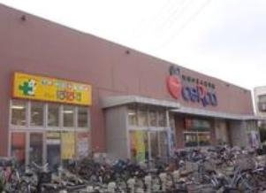 どらっぐぱぱすセルカ高砂店 徒歩11分。 870m