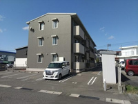 アイビーの画像