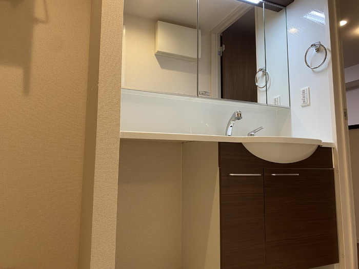 ヴィラアヴェニューセレーネ　A棟の洗面所