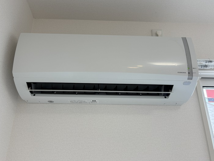 キキョウK.T／ツバキK.T　キキョウK.T