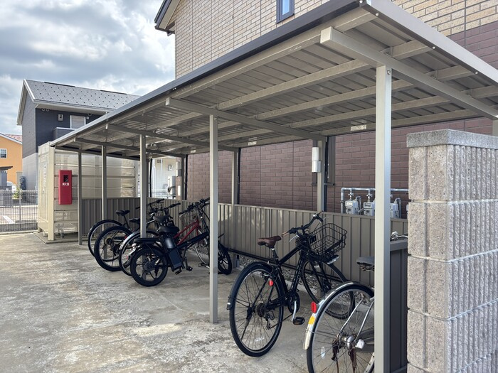 キキョウK.T／ツバキK.T　キキョウK.T