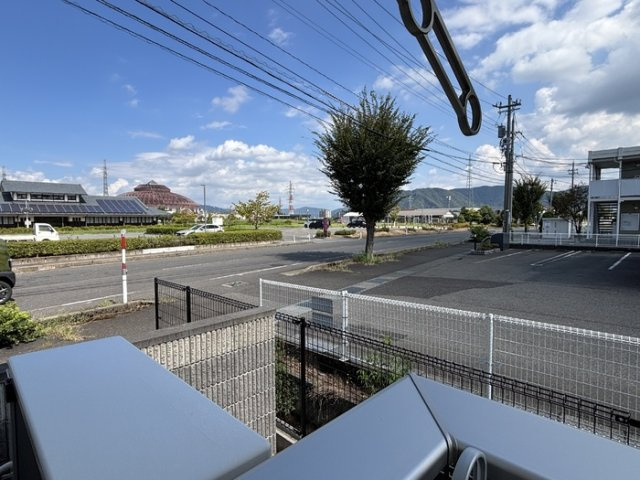 キキョウK.T／ツバキK.T　キキョウK.Tの展望