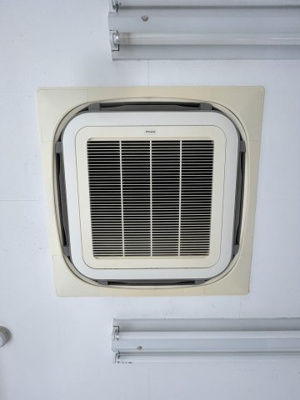 【その他】 | 54ヤングビル