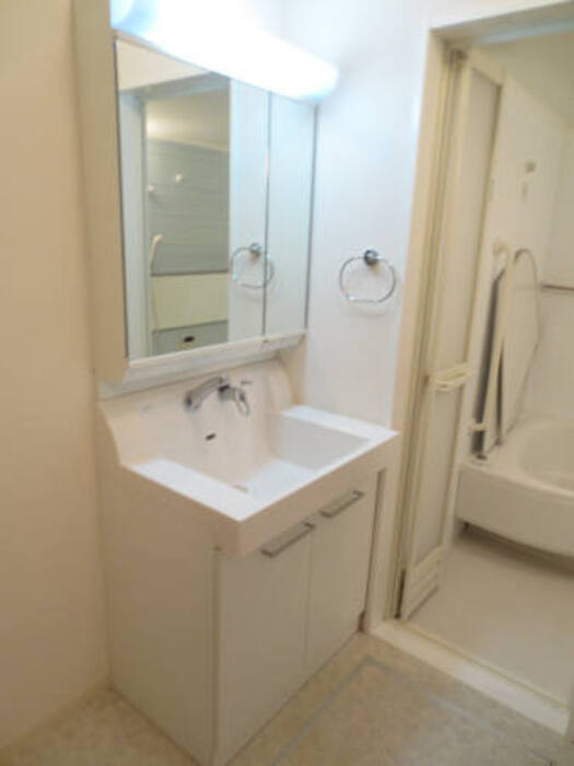 メゾン定正　Aの洗面所