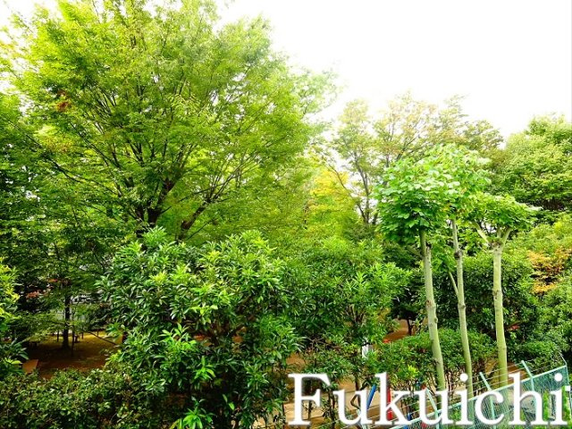 イルミナーレ学大の展望