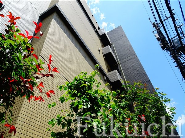 イルミナーレ学大のエントランス