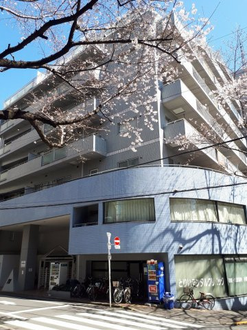 ウィルテラス南大塚